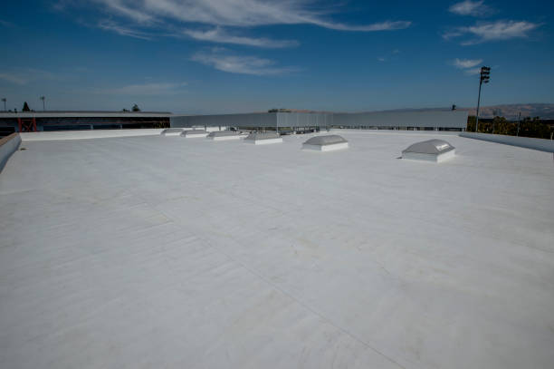 Best 4 Ply Roofing  in Iceville, AL