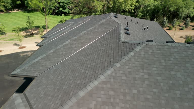 Best Steel Roofing  in Iceville, AL