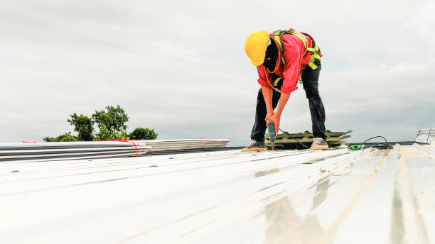 Best Solar Panel Roofing Installation  in Iceville, AL
